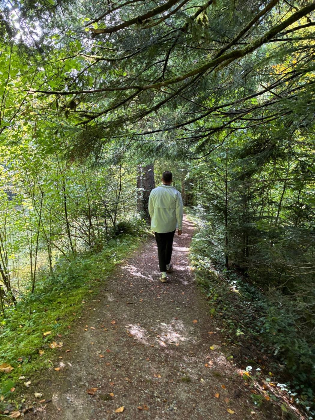 Valentin Lerchi unterwegs auf einem Waldweg – Wegbegleitung im Wald in der Region Winterthur